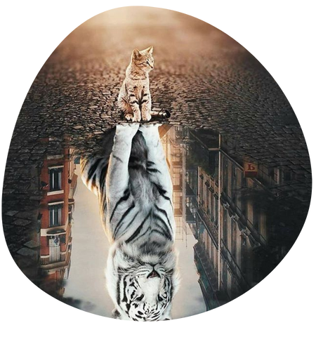 Formazione Residenziale